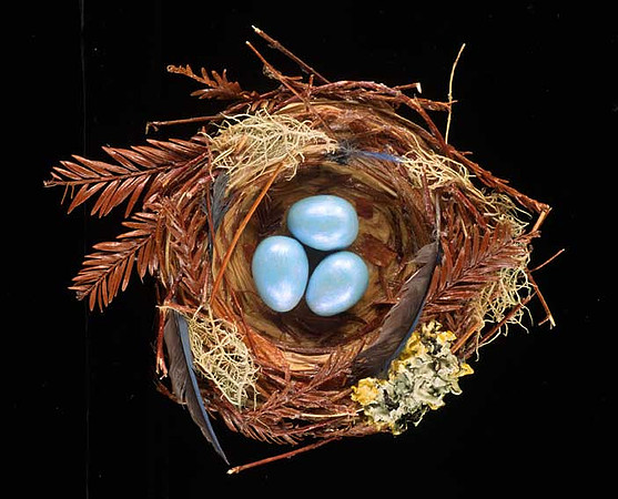 "Spring", mixed media, 7" diameter, 2005