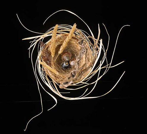 "Summer", mixed media, 12" diameter, 2005