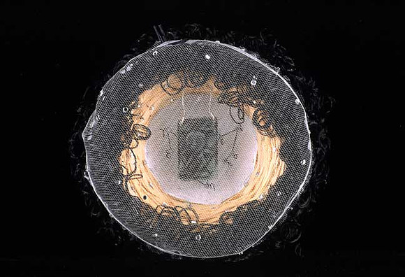 "Phoenix", mixed media, 6 1/2" diameter, 2006