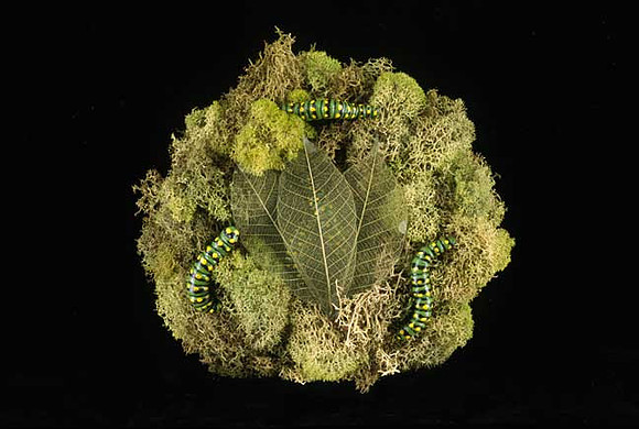 "Stage 2", mixed media, 6 1/2" diameter, 2006