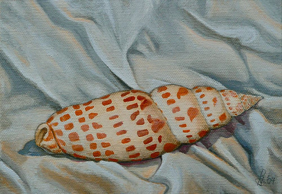 "Shell #1", oil on canvas, 7 x 5" 2004