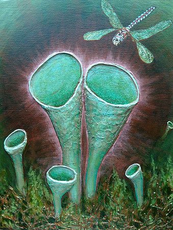 "Lichen #2", mixed media on canvas, 9 x 12", 2012
