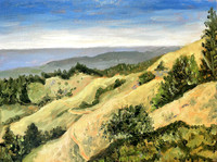 Mt. Tam, 12 x 16", acrylic on canvas board, 2022
